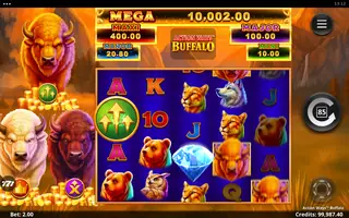Action Ways Buffalo – Base game