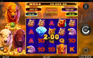 Action Ways Buffalo – Winning spin