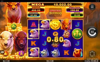 Action Ways Buffalo – Winning spin