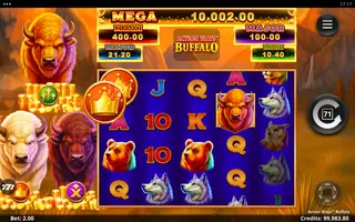 Action Ways Buffalo – Feature in play