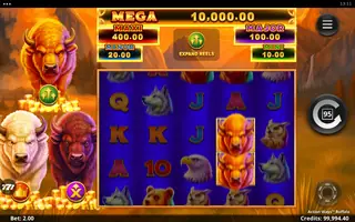 Action Ways Buffalo – Feature in play