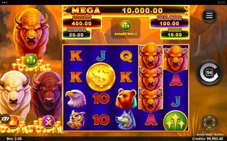 Action Ways Buffalo – Feature in play