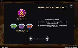 Action Ways Buffalo – Game rules