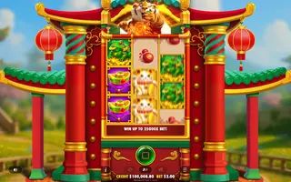 Tigre Sortudo Dourado – Feature in play