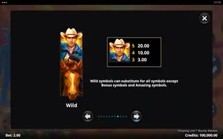 Amazing Link Bounty Wanted – Paytable
