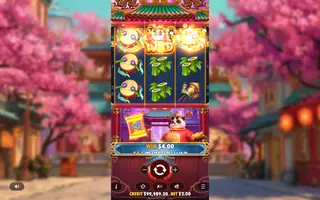 Lucky Panda – Winning spin