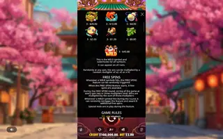 Lucky Panda – Game rules