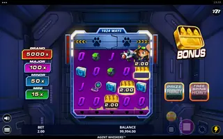 Agent Whiskers – Feature in play