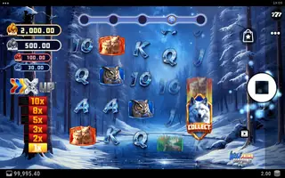 Wolf Prime Diamond X UP – Feature in play