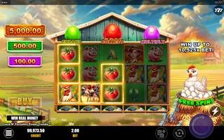 Cluck N’ Fortunes Power Combo – Feature in play