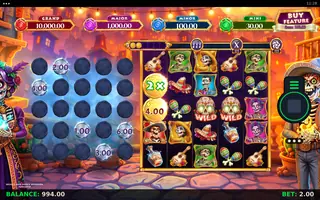 Skulls and Souls Bonanza Coin Grid – Feature in play