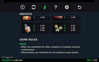 Skulls and Souls Bonanza Coin Grid – Paytable