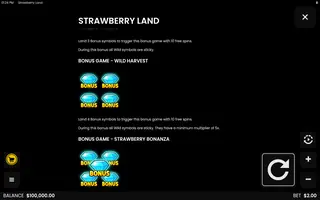 Strawberry Land – Game rules