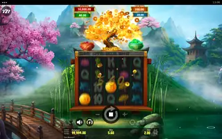 Coin Blossom – Winning spin