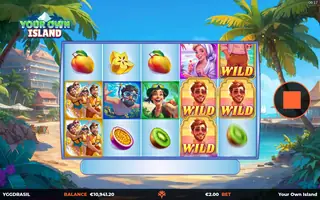 Your Own Island – Feature in play