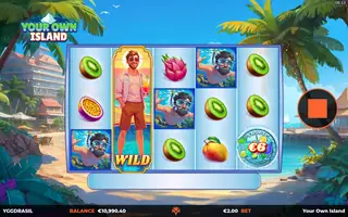 Your Own Island – Feature in play