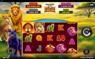 Amazing Link WildCat Kingdom – Base game