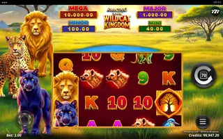 Amazing Link WildCat Kingdom – Base game
