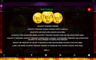 Fire and Roses Joker 2 All-In King Millions – Paytable