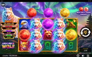 Area Link Wolf – Feature in play