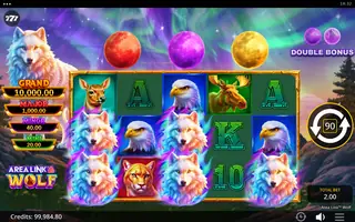 Area Link Wolf – Feature in play
