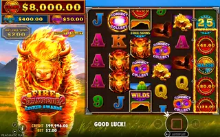 Fire Stampede 2 – Base game