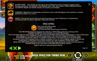 Fire Stampede 2 – Game rules