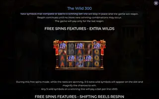 The Wild 300 – Game rules