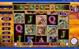 Money Mania Cats – Base game