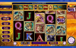 Money Mania Cats – Base game