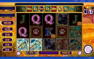 Money Mania Cats – Free spins