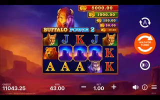 Buffalo Power 2 Hold and Win – Winning spin