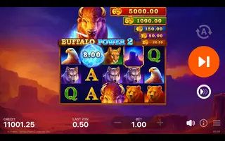 Buffalo Power 2 Hold and Win – Feature in play