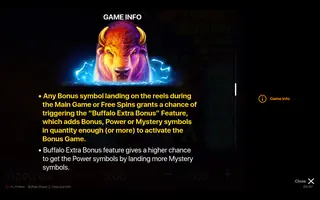 Buffalo Power 2 Hold and Win – Game rules