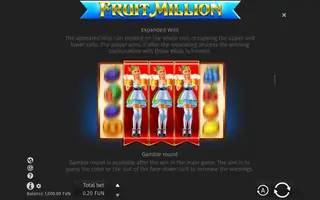 Fruit Million – Game rules