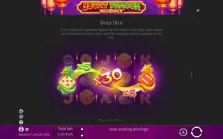 Lucky Dragon Multidice X – Game rules