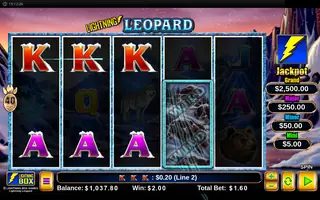 Lightning Leopard – Feature in play