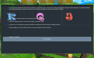Piggy Payout – Game rules