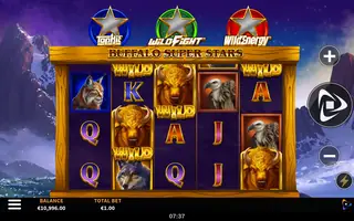 Buffalo Super Stars – Feature in play