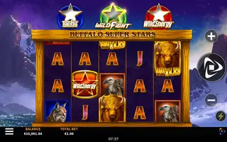 Buffalo Super Stars – Feature in play