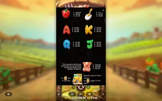 Pig Farm – Paytable