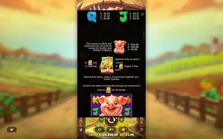 Pig Farm – Game rules