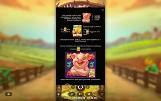 Pig Farm – Game rules