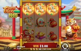 Lucky Tiger 1000 – Winning spin