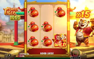Lucky Tiger 1000 – Feature in play