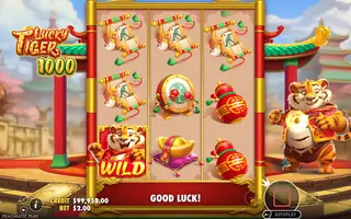 Lucky Tiger 1000 – Feature in play