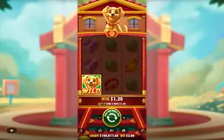 Cachorro Sortudo – Winning spin