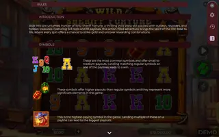 Wild Sheriff Fortune – Game rules