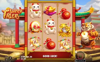 Lucky Tiger – Base game