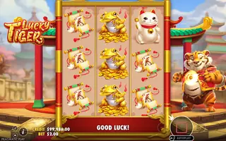 Lucky Tiger – Winning spin